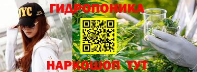 Альфа ПВП Чебоксары